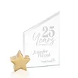 Cooper Award - Starfire/Gold Star | https://www.bestnamebadges.com