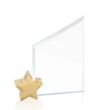 Cooper Award - Starfire/Gold Star | https://www.bestnamebadges.com