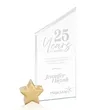 Cooper Award - Starfire/Gold Star | https://www.bestnamebadges.com