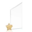 Cooper Award - Starfire/Gold Star | https://www.bestnamebadges.com
