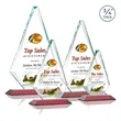 Windsor VividPrint™ Award - Red | https://www.bestnamebadges.com