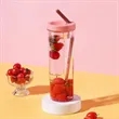 Fruit Infuser Water Bottles With Straw | https://www.bestnamebadges.com