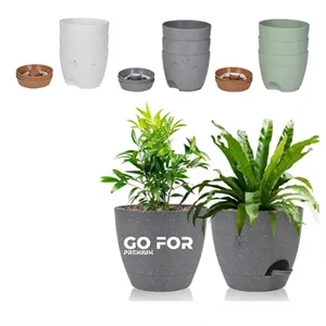 Plant Pot
