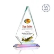 Windsor VividPrint™ Award - Prismatic | https://www.bestnamebadges.com