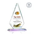 Windsor VividPrint™ Award - Prismatic | https://www.bestnamebadges.com