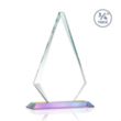 Windsor VividPrint™ Award - Prismatic | https://www.bestnamebadges.com