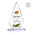 Windsor VividPrint™ Award - Prismatic | https://www.bestnamebadges.com