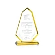 Pearson Award - Gold | https://www.bestnamebadges.com