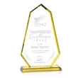 Pearson Award - Gold | https://www.bestnamebadges.com