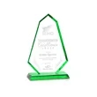Pearson Award - Green | https://www.bestnamebadges.com