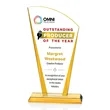 Merivale VividPrint™ Award - Gold | https://www.bestnamebadges.com
