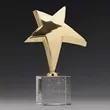 Rising Star Award | https://www.bestnamebadges.com