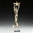 Star Achievement Award on Optical | https://www.bestnamebadges.com