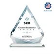 Apex VividPrint Award | https://www.bestnamebadges.com