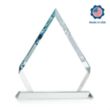 Apex VividPrint Award | https://www.bestnamebadges.com
