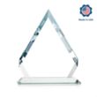 Apex Award | https://www.bestnamebadges.com