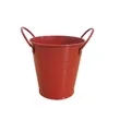 Durable Double-Handled Mini Metal Serving Bucket | https://www.bestnamebadges.com