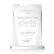 Shamrock Award | https://www.bestnamebadges.com