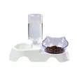 Pets Water and Food Bowl Set | https://www.bestnamebadges.com