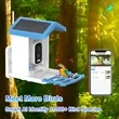 Smart Bird Feeder Camera with Solar Panel | https://www.bestnamebadges.com