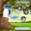 Smart Bird Feeder Camera with Solar Panel | https://www.bestnamebadges.com