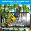 Smart Bird Feeder Camera with Solar Panel | https://www.bestnamebadges.com