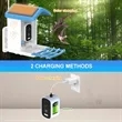 Smart Bird Feeder Camera with Solar Panel | https://www.bestnamebadges.com