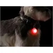 Dog Collar Light | https://www.bestnamebadges.com