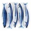 Cat Toys Fish | https://www.bestnamebadges.com
