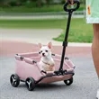 Dog Stroller 4 Wheels Folding | https://www.bestnamebadges.com