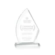 Ayrton Award | https://www.bestnamebadges.com