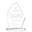 Ayrton Award | https://www.bestnamebadges.com