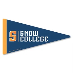 Pennant Car Sign Magnet 7.125 x 3.75