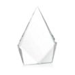 Shelton Award - Clear | https://www.bestnamebadges.com