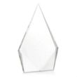 Shelton Award - Clear | https://www.bestnamebadges.com