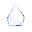 Shelton Award - Blue | https://www.bestnamebadges.com