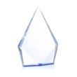 Shelton Award - Blue | https://www.bestnamebadges.com