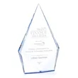 Shelton Award - Blue | https://www.bestnamebadges.com