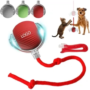 Rechargeable Pet Smart Chase Ball | https://www.bestnamebadges.com