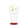 Mantella Gold Star Award - Red | https://www.bestnamebadges.com