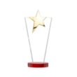 Mantella Gold Star Award - Red | https://www.bestnamebadges.com