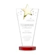 Mantella Gold Star Award - Red | https://www.bestnamebadges.com