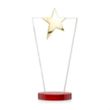 Mantella Gold Star Award - Red | https://www.bestnamebadges.com