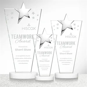 Mantella Chrome Star Award - White | https://www.bestnamebadges.com