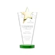 Mantella Gold Star Award - Green | https://www.bestnamebadges.com