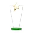 Mantella Gold Star Award - Green | https://www.bestnamebadges.com