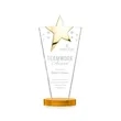 Mantella Gold Star Award - Amber | https://www.bestnamebadges.com