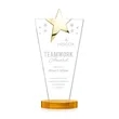 Mantella Gold Star Award - Amber | https://www.bestnamebadges.com