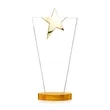 Mantella Gold Star Award - Amber | https://www.bestnamebadges.com