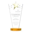 Mantella Gold Star Award - Amber | https://www.bestnamebadges.com